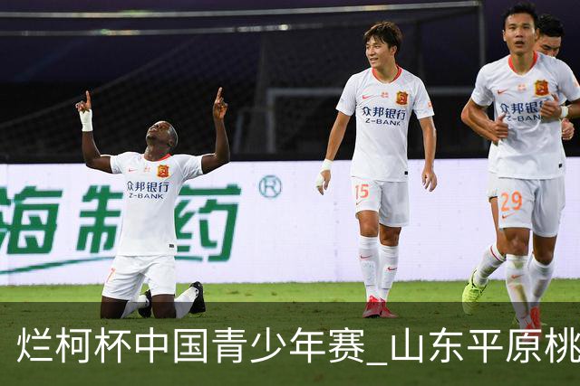 烂柯杯中国青少年赛 山东平原桃花开三将出战